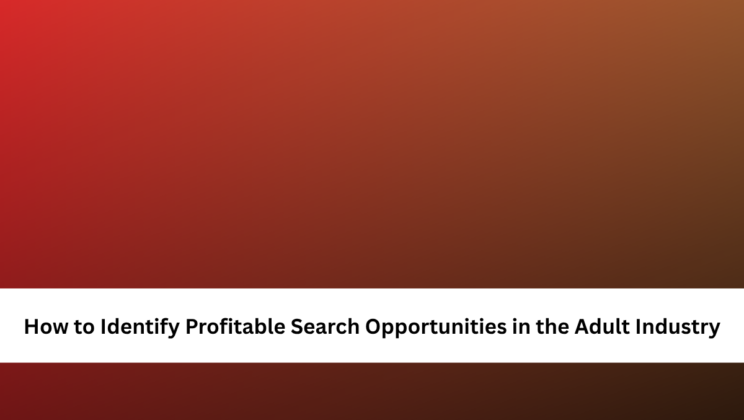 How to Identify Profitable Search Opportunities in the Adult Industry